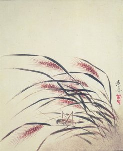 Épis de riz et criquet (laque sur papier) - Shibata Zeshin
